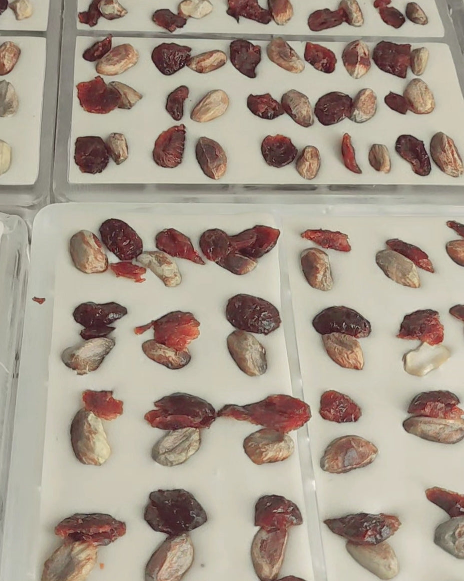 white chocolate with pistachio and cranberry